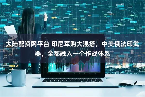 大陆配资网平台 印尼军购大混搭，中美俄法印武器，全都融入一个作战体系