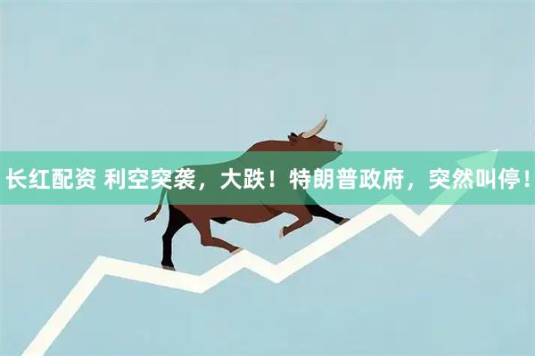 长红配资 利空突袭，大跌！特朗普政府，突然叫停！